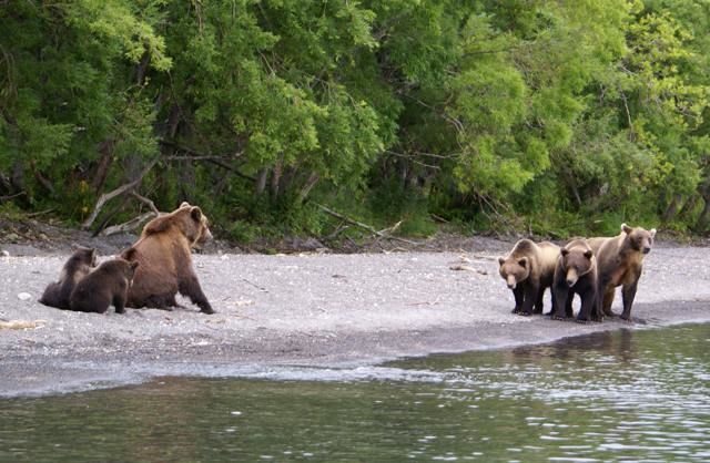 Вертолетная экскурсия на озере Курильское