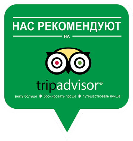 tripadvisor